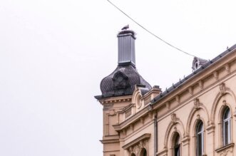 vratile_se_rode_2025 vratile_se_rode_2025