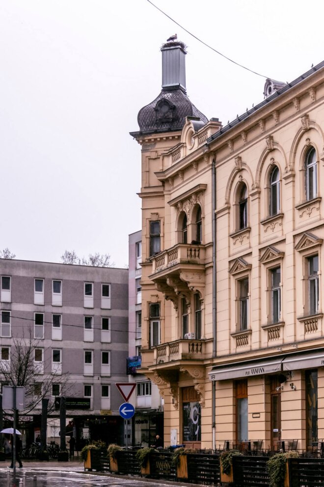 vratile_se_rode_2025 vratile_se_rode_2025