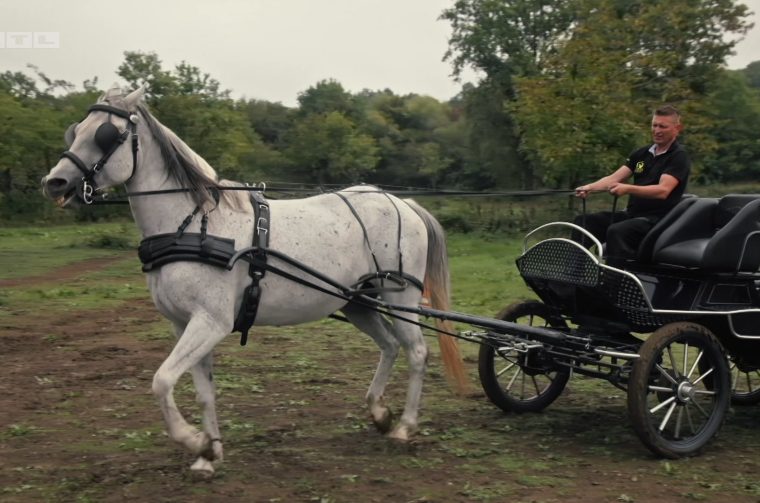 Vz5_Madzo_najva (2) Vz5_Madzo_najva (2)