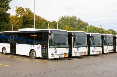 WhatsApp-Image-2025-09-08-at-15.21.14-5 WhatsApp-Image-2025-09-08-at-15.21.14-5