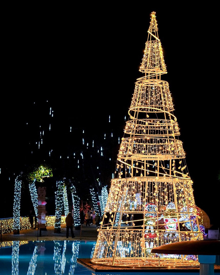 WhatsApp Image 2025-12-08 at 16.54.29 (1) WhatsApp Image 2025-12-08 at 16.54.29 (1)