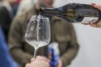 WineOs_2026_dan_II_SiB_HR-2