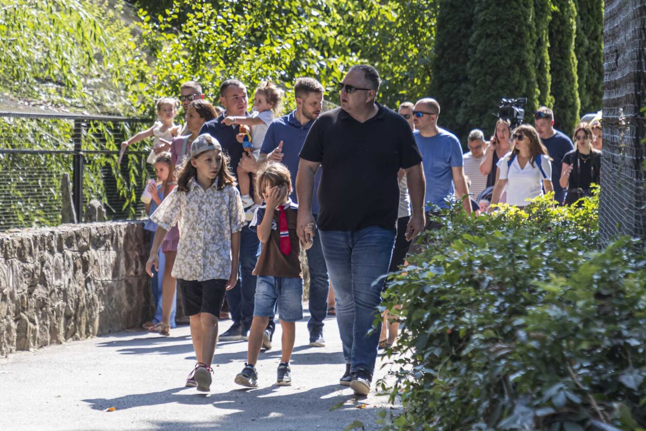 Dječje igralište ZOO Land Dječje igralište ZOO Land