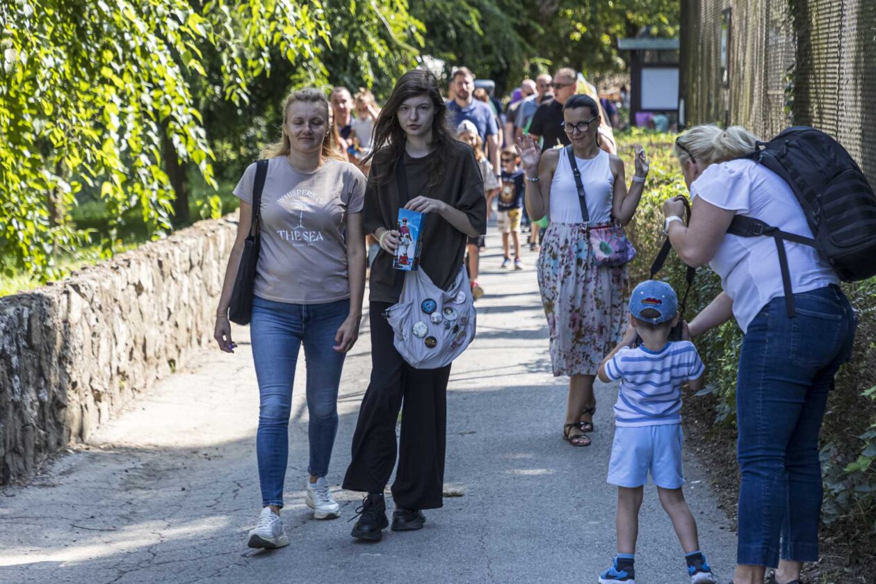 Dječje igralište ZOO Land Dječje igralište ZOO Land