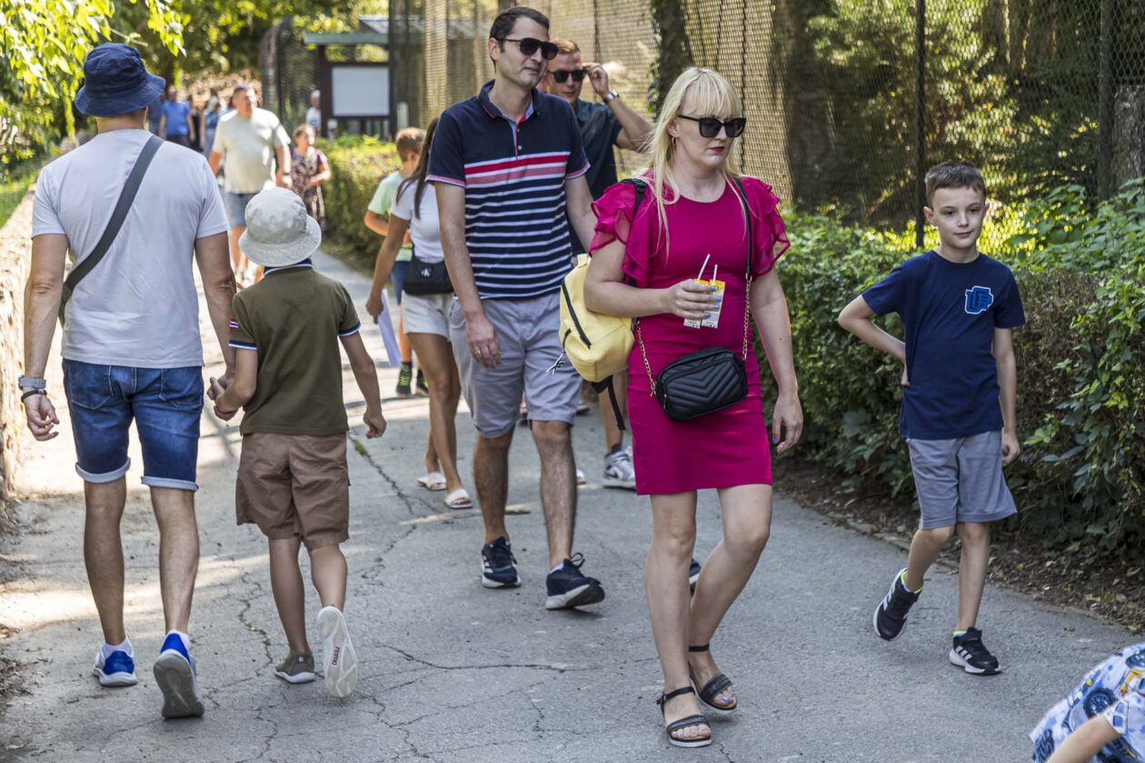 Dječje igralište ZOO Land Dječje igralište ZOO Land