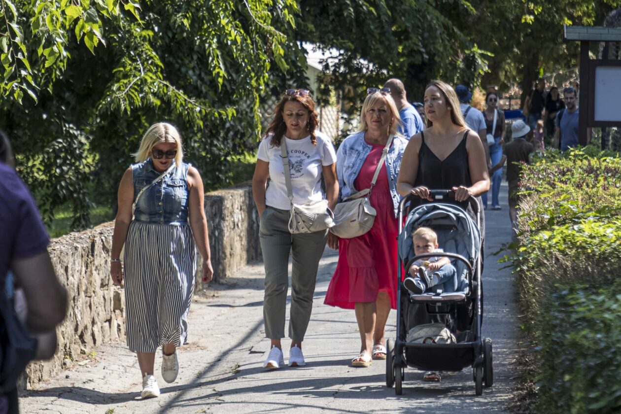 Dječje igralište ZOO Land Dječje igralište ZOO Land