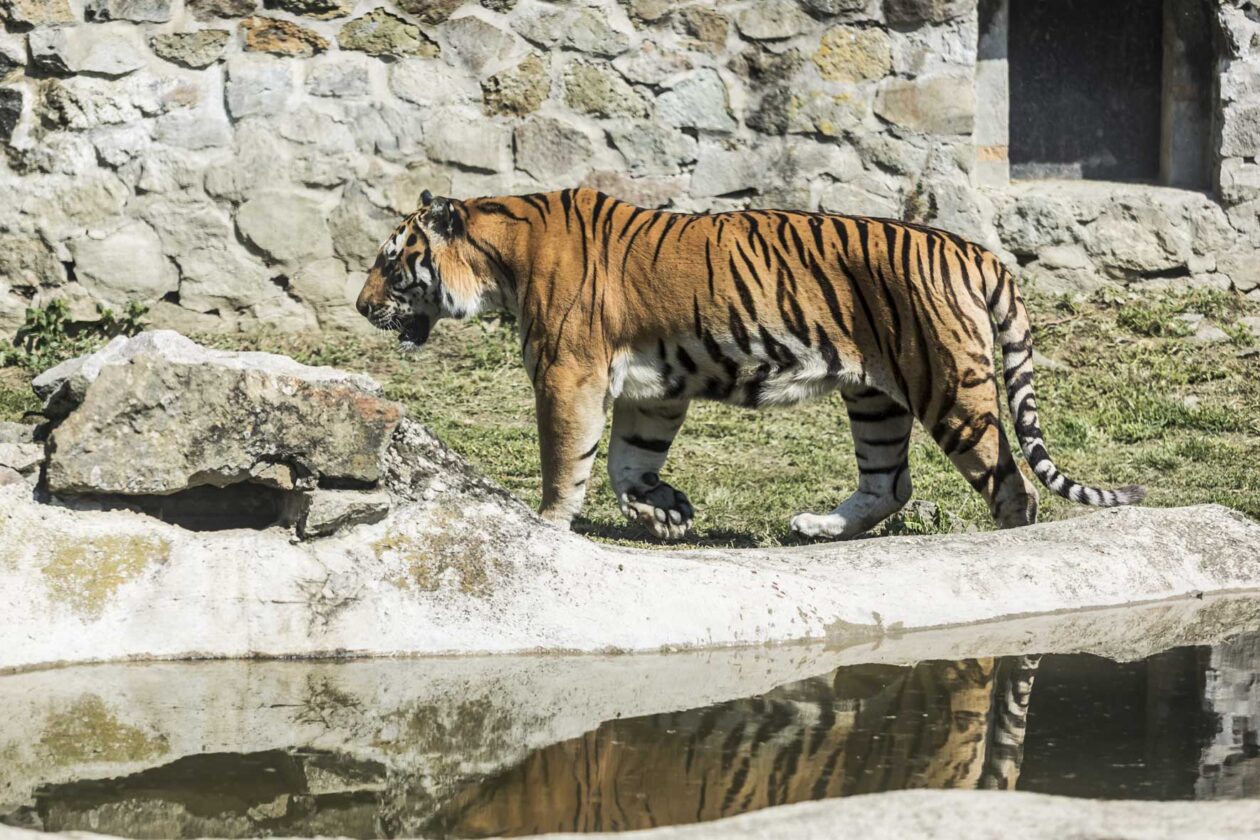 Dječje igralište ZOO Land Dječje igralište ZOO Land