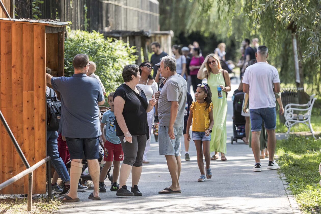 Dječje igralište ZOO Land Dječje igralište ZOO Land