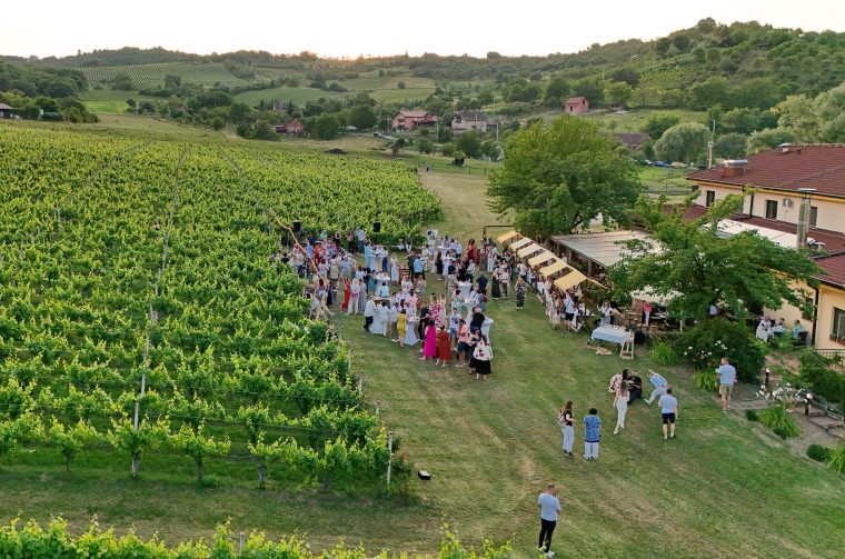 zalazak u vinogradu