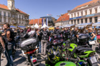 Zeko_Setnja_Sajam_19_04_2025