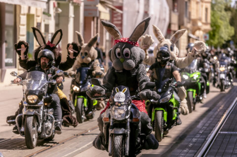 Zeko_Setnja_Sajam_19_04_2025 Zeko_Setnja_Sajam_19_04_2025