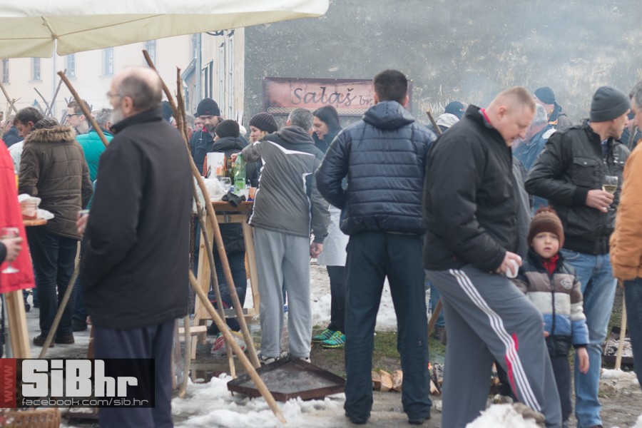 geza_2016_sibhr_31