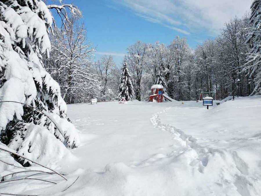 FB_IMG_1519646319309-900×675 FB_IMG_1519646319309-900×675