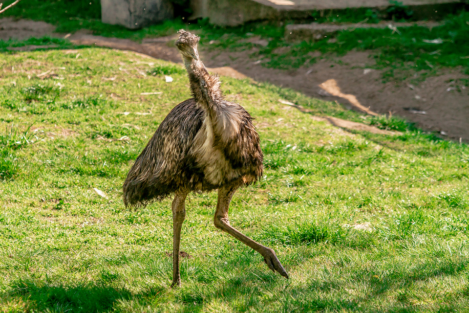 ZOO vrt  Osijek u proljeće