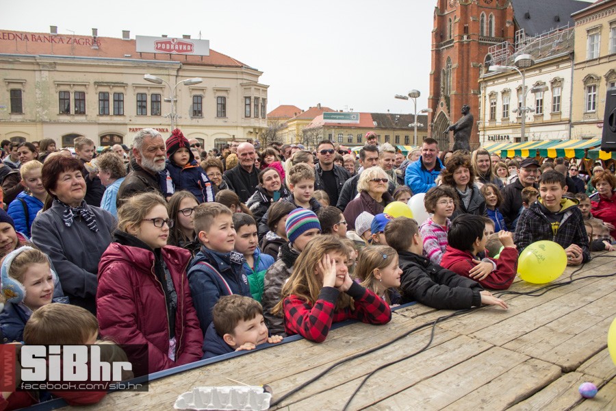 gnijezdo2015_58