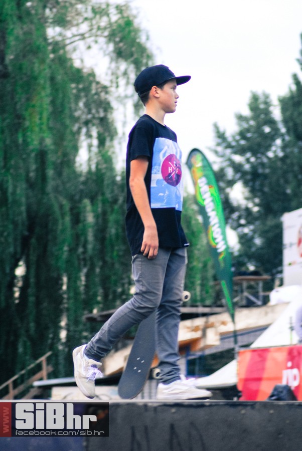 pannonian_petak2015_SiBhr119