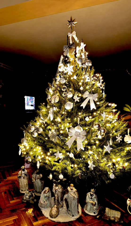 Najljepši borovi na Božić 2023. Najljepši borovi na Božić 2023.