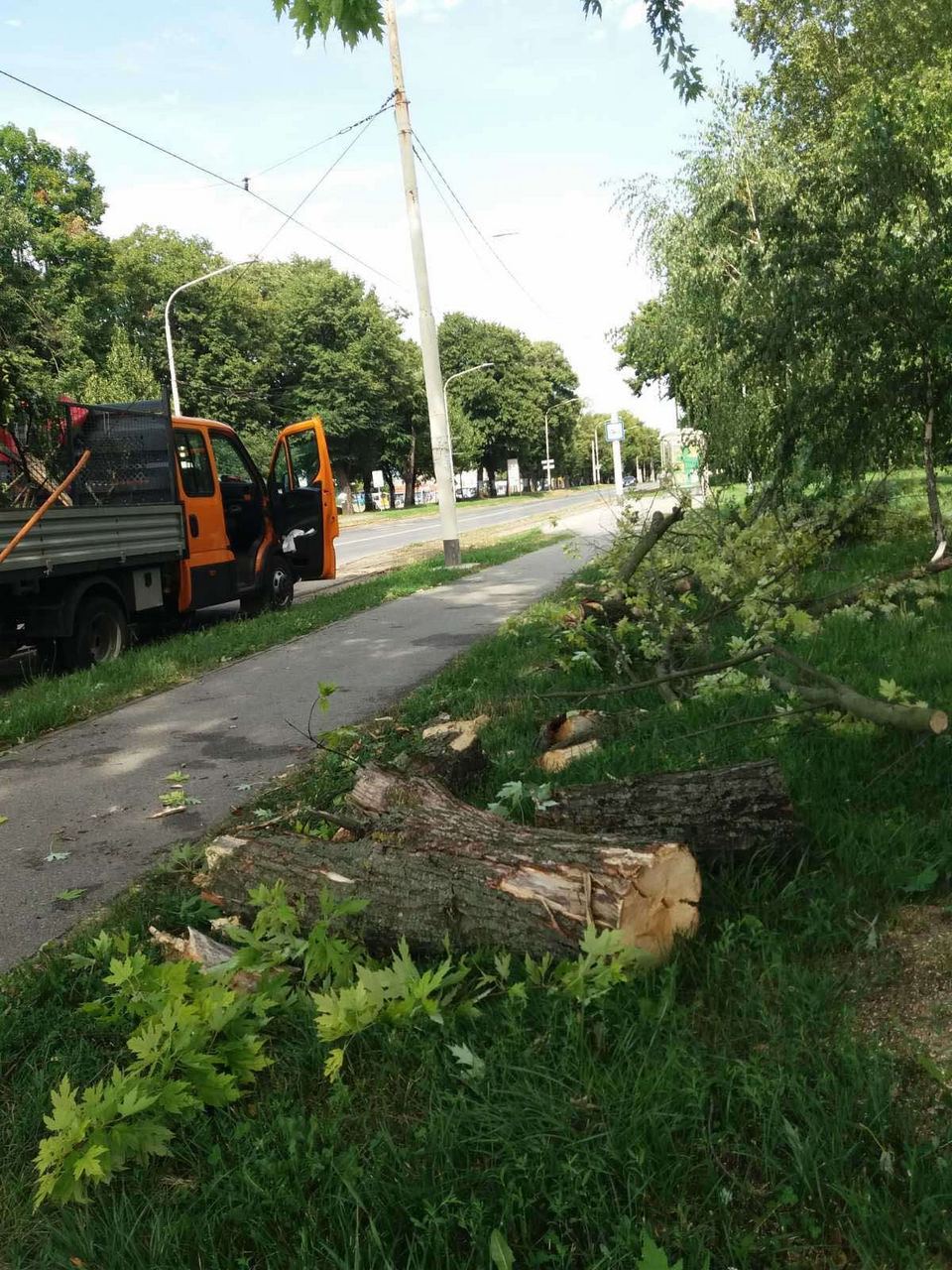 Olujni vjetar rušio drva u Osijeku