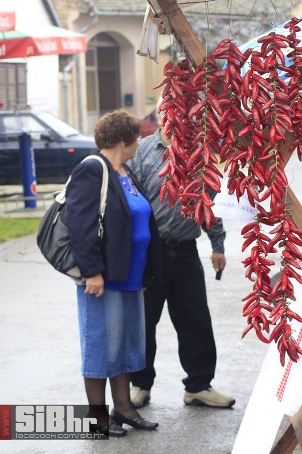 dani_ribe_SiB_hr_16 dani_ribe_SiB_hr_16