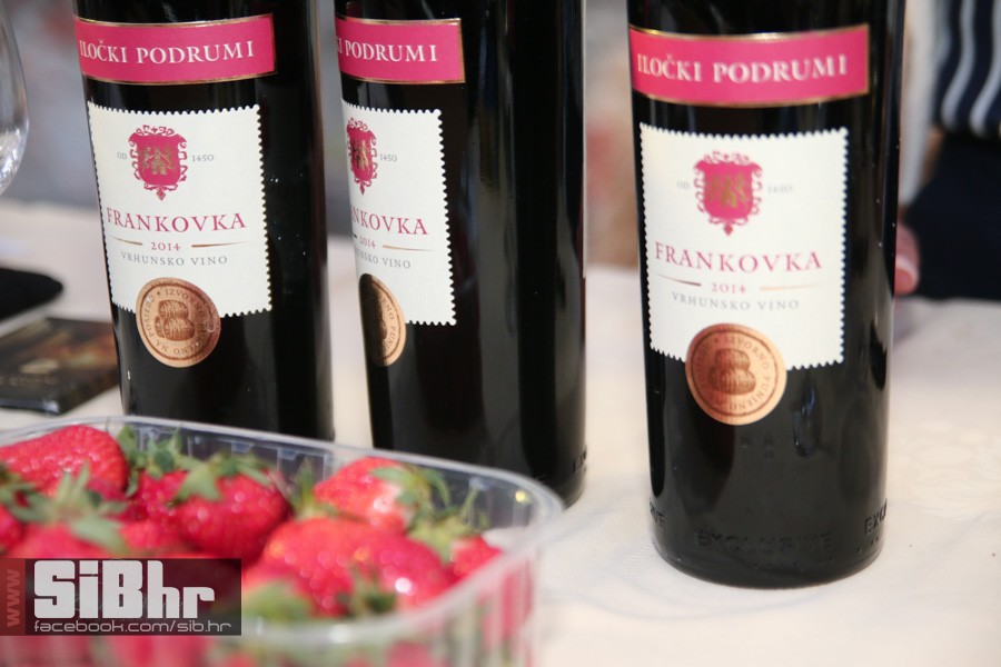 dani_vina_turizma_2016_sibhr_16