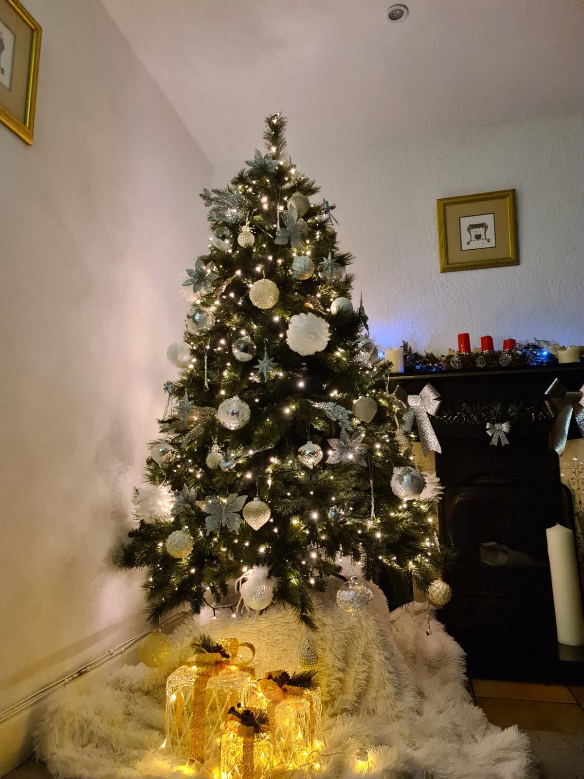 Božićna drvca čitatelja SiB.hr