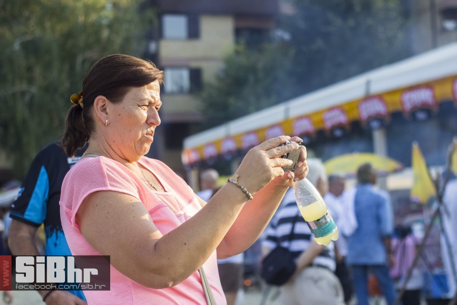 fisijada_opca_opasnost_2016_sib