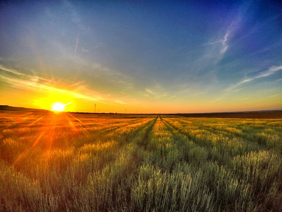 baranja_by_gordan_trtanj_SiBhr_