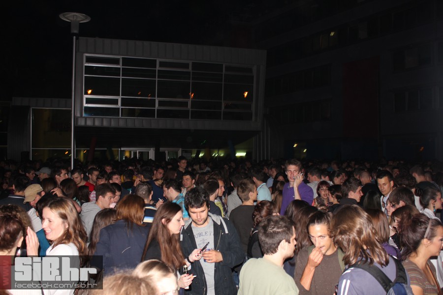 dc_party_sib