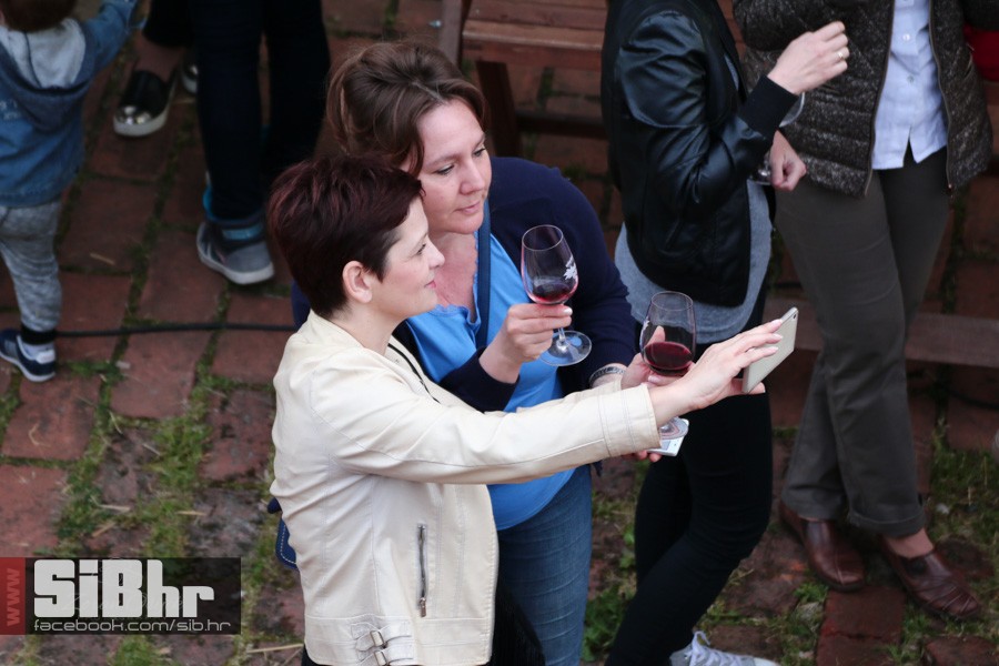 dani_vina_turizma_2016_sibhr_07