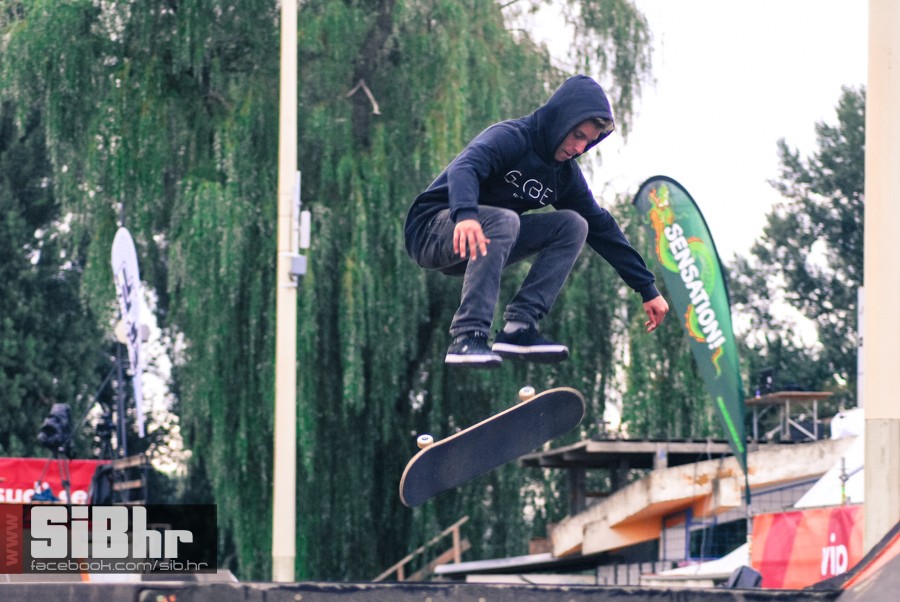 pannonian_petak2015_SiBhr110