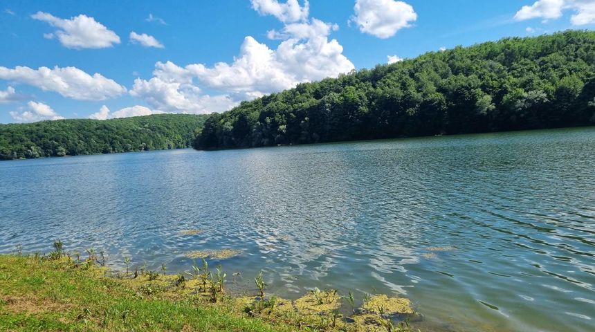 Jezero Borovik