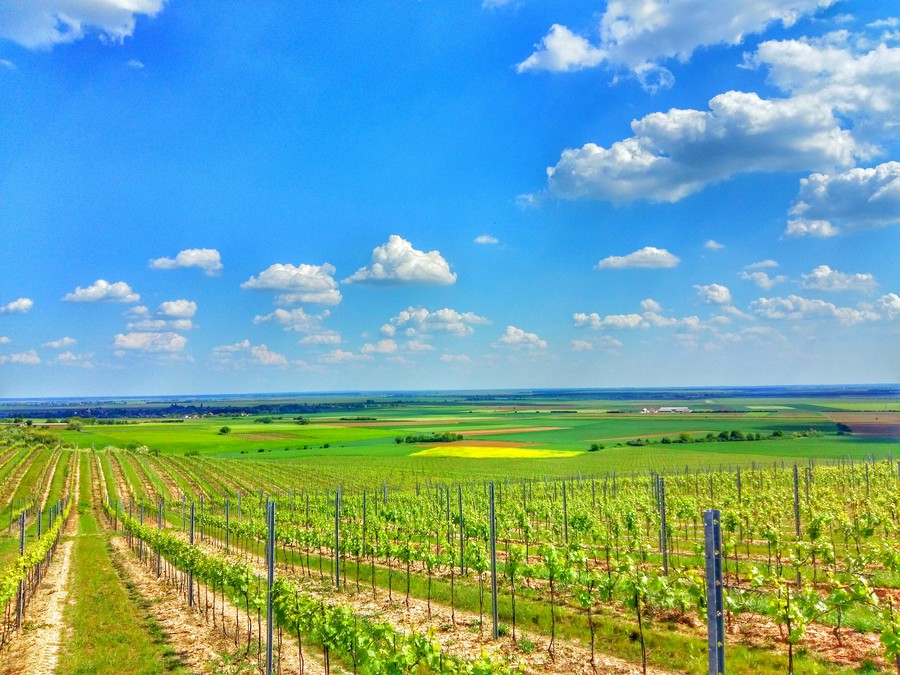 baranja_by_gordan_trtanj_SiBhr_