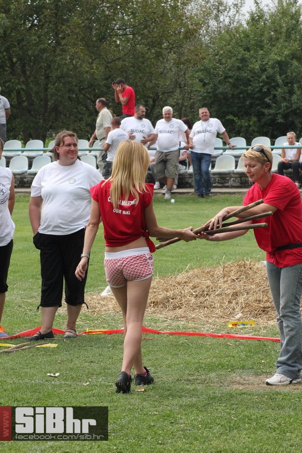 brodjanci_olimpijada_2014_SiBhr