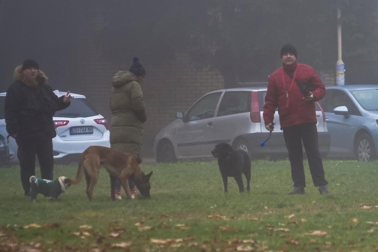 Magloviti prosinac u Osijeku Magloviti prosinac u Osijeku