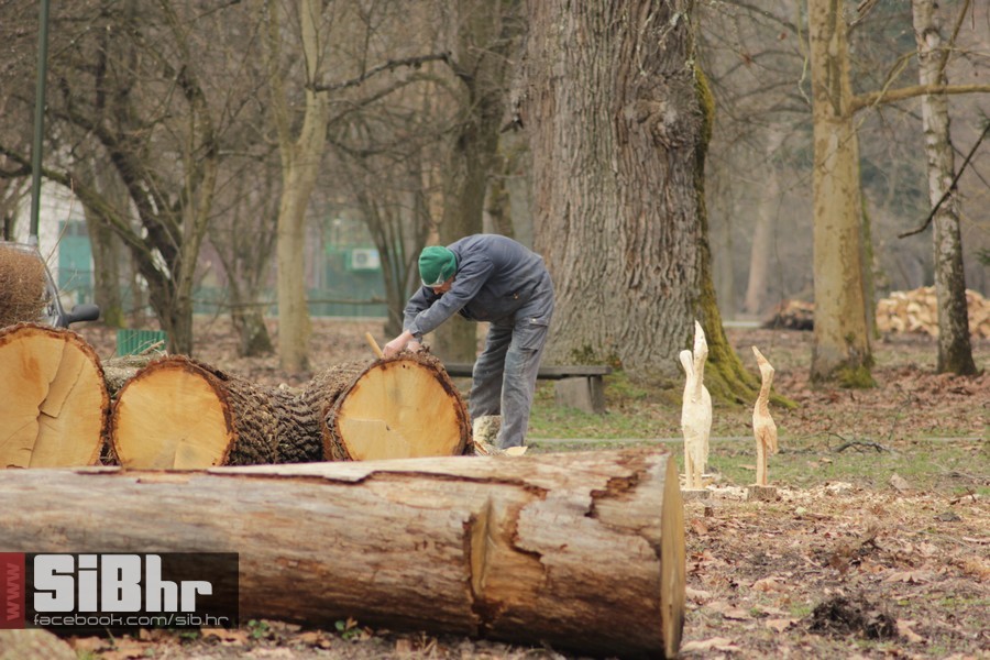 kopacki_rit_ozujak2015_SiBhr_33