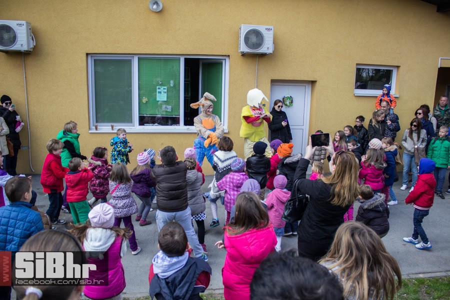 zoo_vrt_119