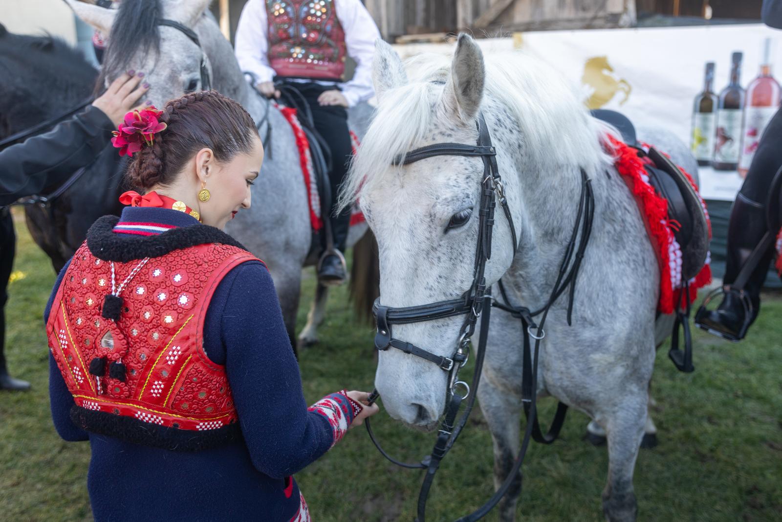 Pokladno jahanje u Tenji 2024. Pokladno jahanje u Tenji 2024.