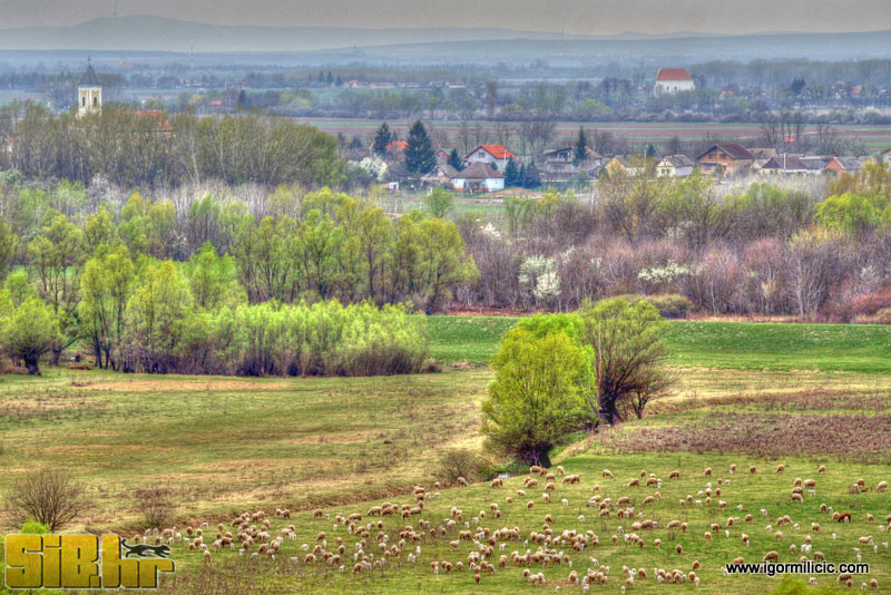 osijek_001
