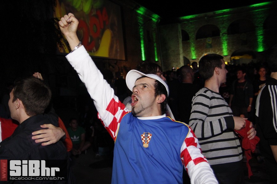 ufo_1_psiho_2014_zoran_106