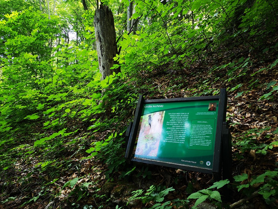 Park prirode Papuk