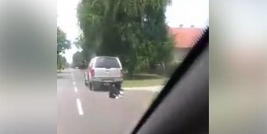 pas-borovo pas-borovo