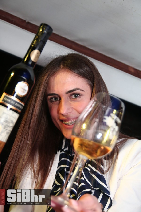dani_vina_turizma_2016_sibhr_48