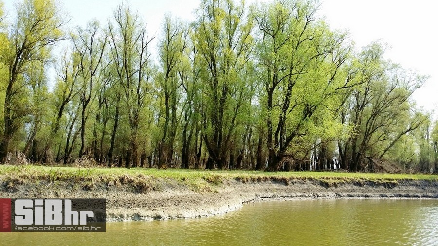 kopacki_ana_misin_sibhr_07