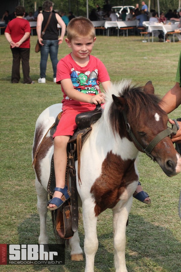 brodjanci_olimpijada_2014_SiBhr