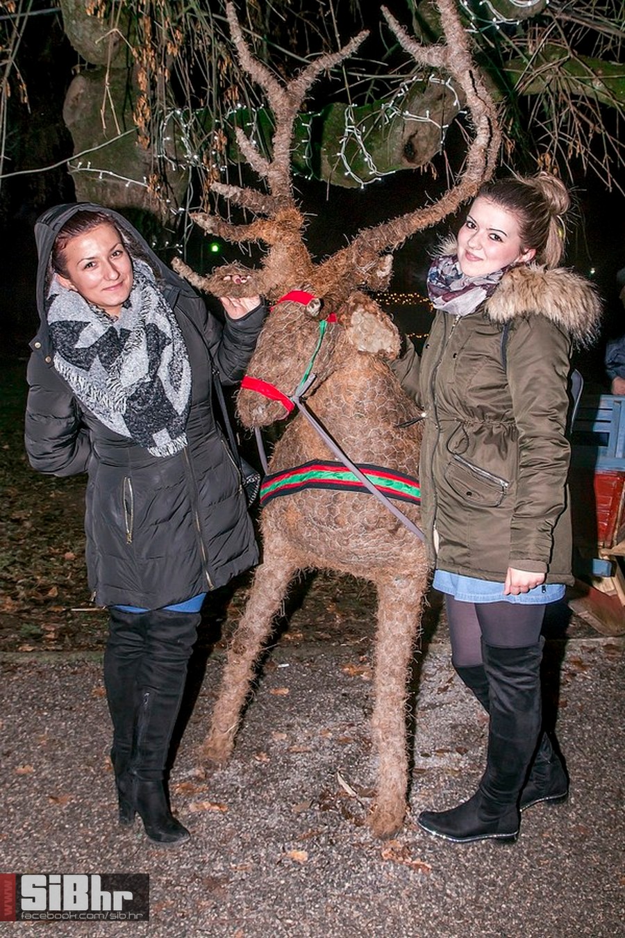 belfast_advent_25