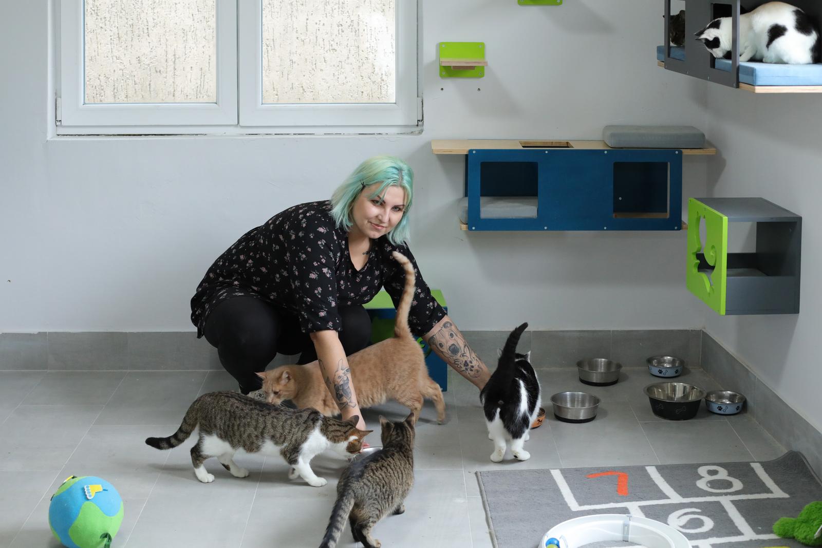 Udruga 9 života Udruga 9 života