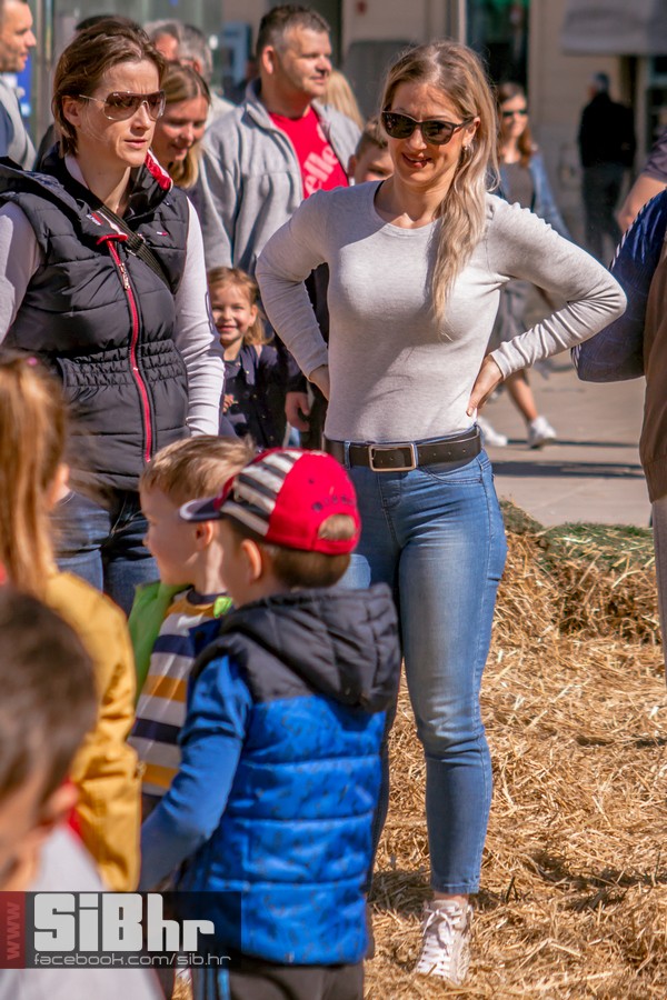 sib