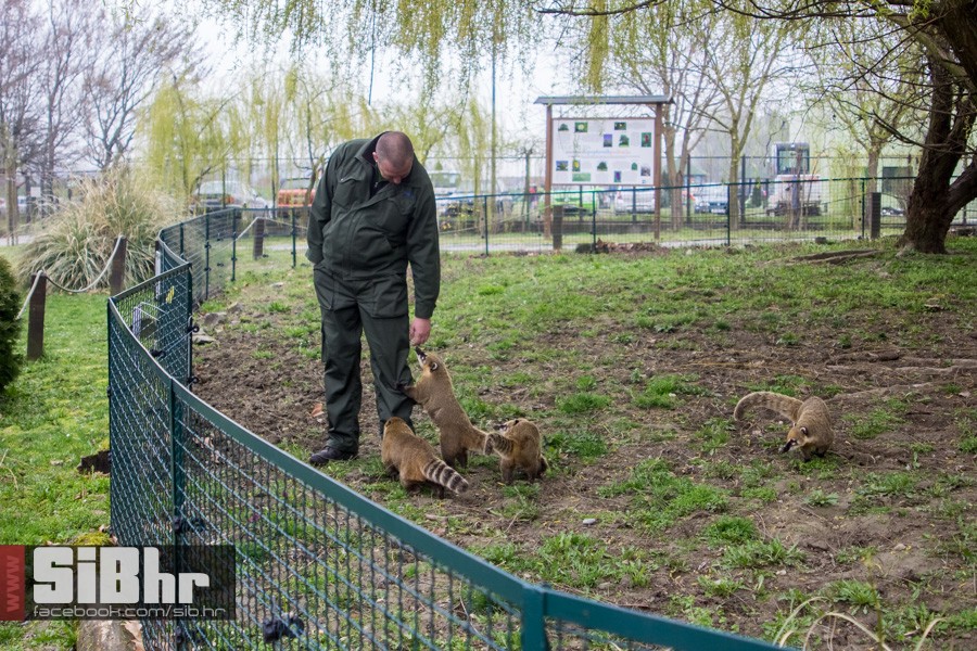 zoo_uskrs_2016_sibhr_18