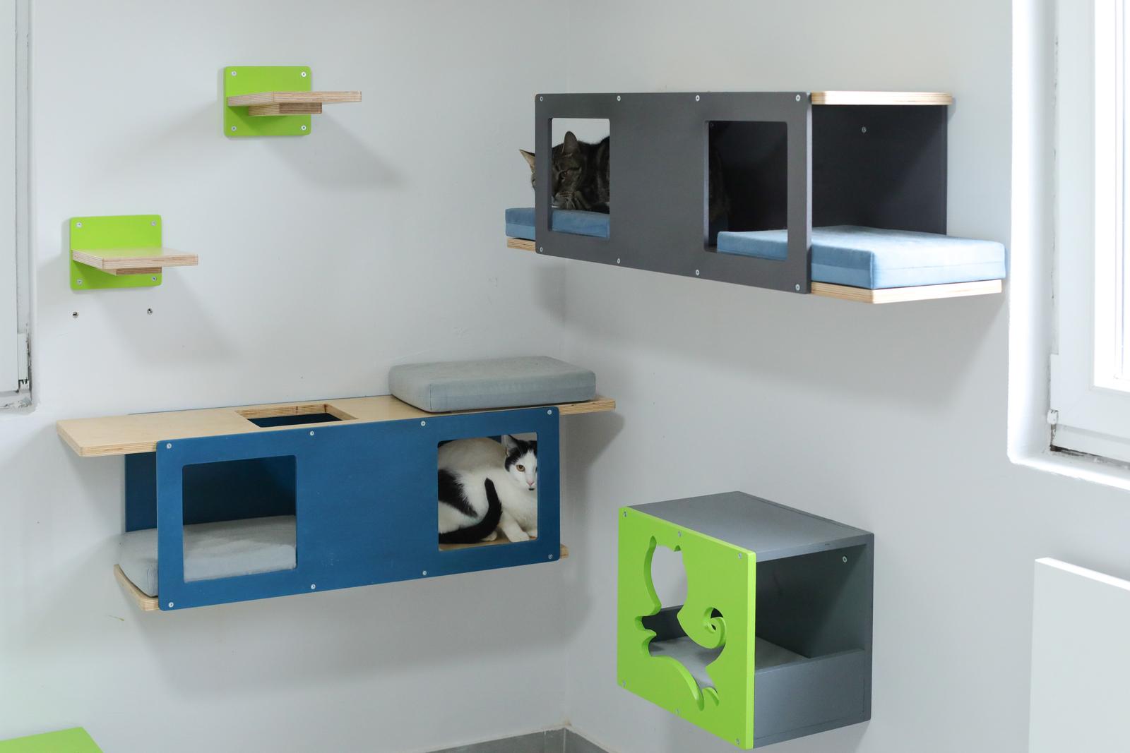 Udruga 9 života Udruga 9 života