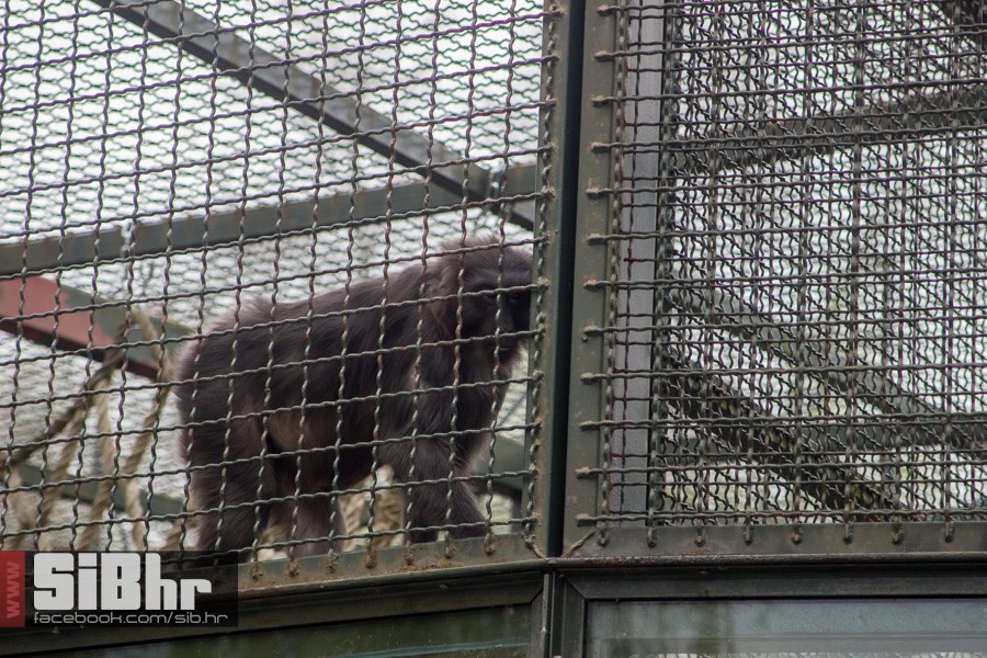zoo_uskrs_2016_sibhr_58